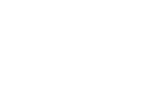 Link You Technologies